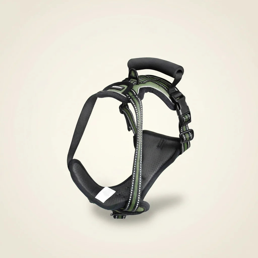 Padded reflective dog harness in green