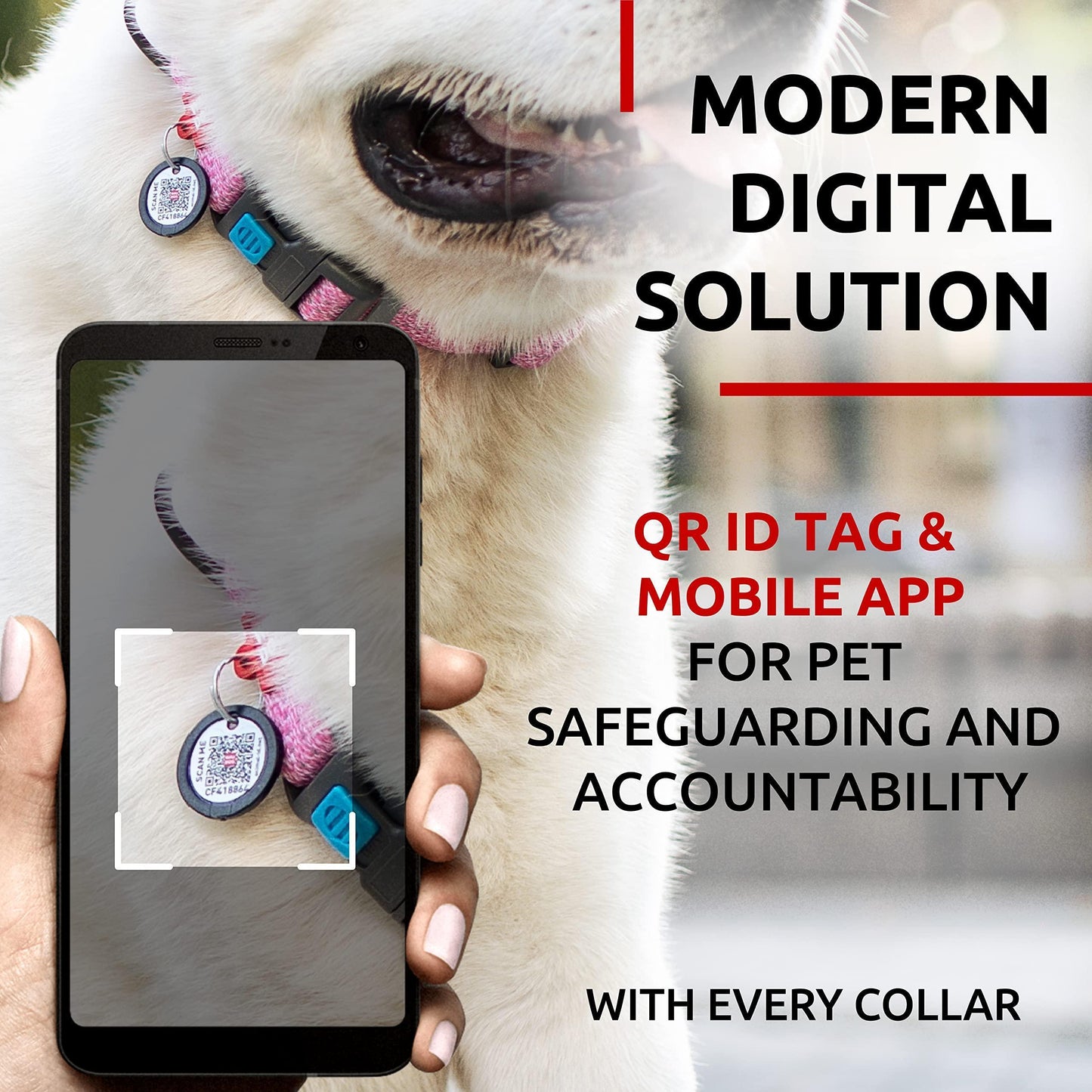 Jack & Susy™ Eco-Friendly Reflective Cotton Dog Collar – Recycled, Soft & Durable with Smart QR ID Tag