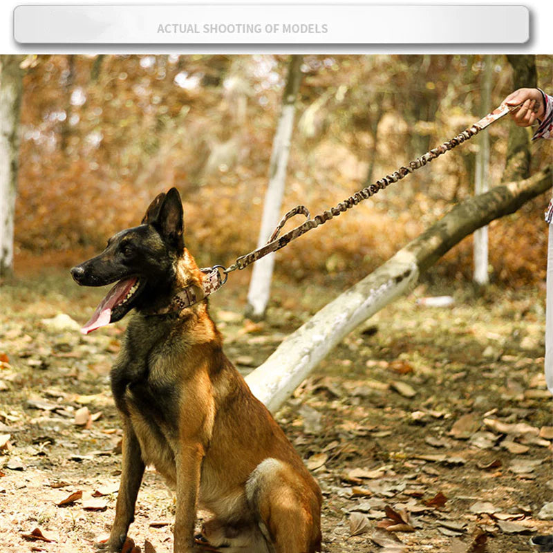 Jack & Susy™ Tactical Heavy-Duty Dog Collar – 2" Wide Military-Grade Nylon with Metal Buckle (K9 Training Collar)