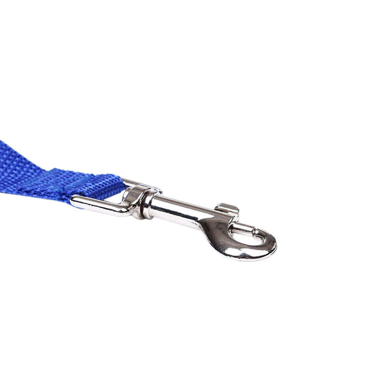 Premium Long Training Dog Leash β Durable Nylon Obedience & Recall Lead (6β100 FT)