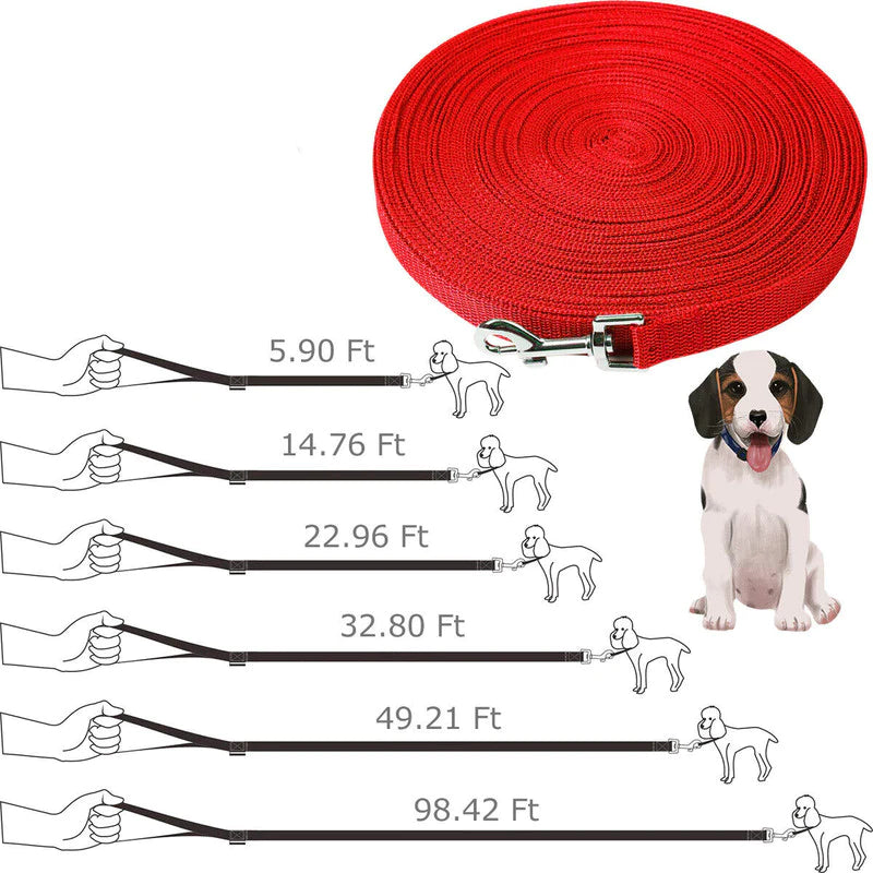 Premium Long Training Dog Leash β Durable Nylon Obedience & Recall Lead (6β100 FT)