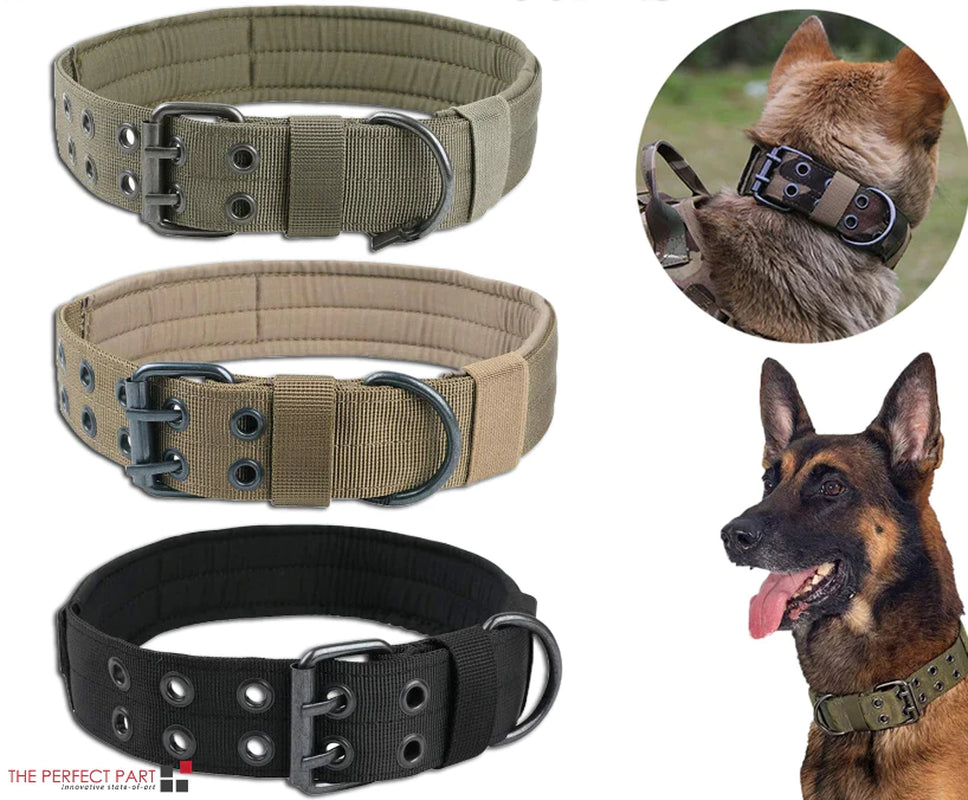 Jack & Susy™ Tactical Heavy-Duty Dog Collar – 2" Wide Military-Grade Nylon with Metal Buckle (K9 Training Collar)
