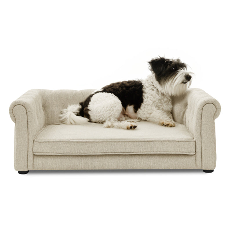 Jack & Susy™ Elegant Raised Pet Sofa Bed for Medium & Large Dogs – Modern Comfortable Dog Couch