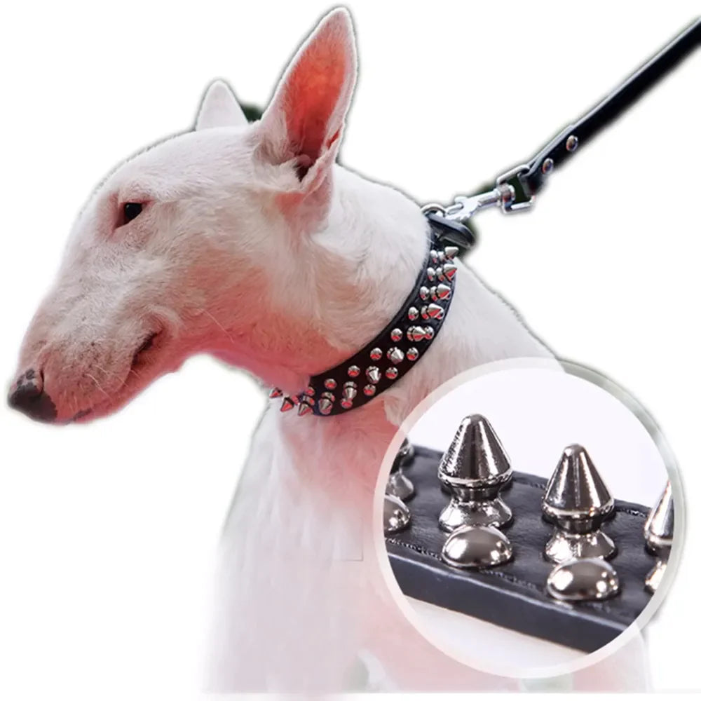Jack & Susy™ Spiked Studded Leather Dog Collar – Adjustable PU Collar with Rivets for Small to Large Dogs