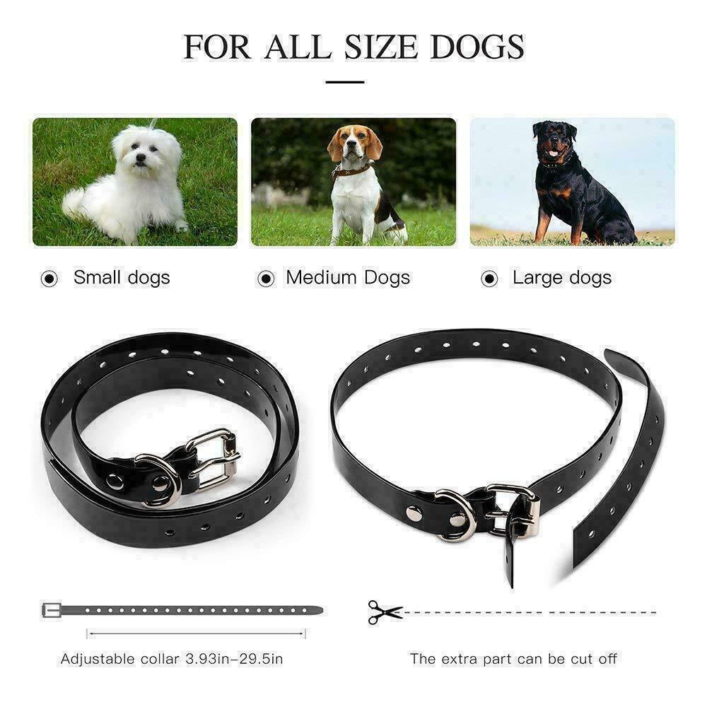 Jack & Susy™ Smart Dog Training Collar Set – 2600 FT Remote Control, Dual Waterproof Collars & Rechargeable LCD System