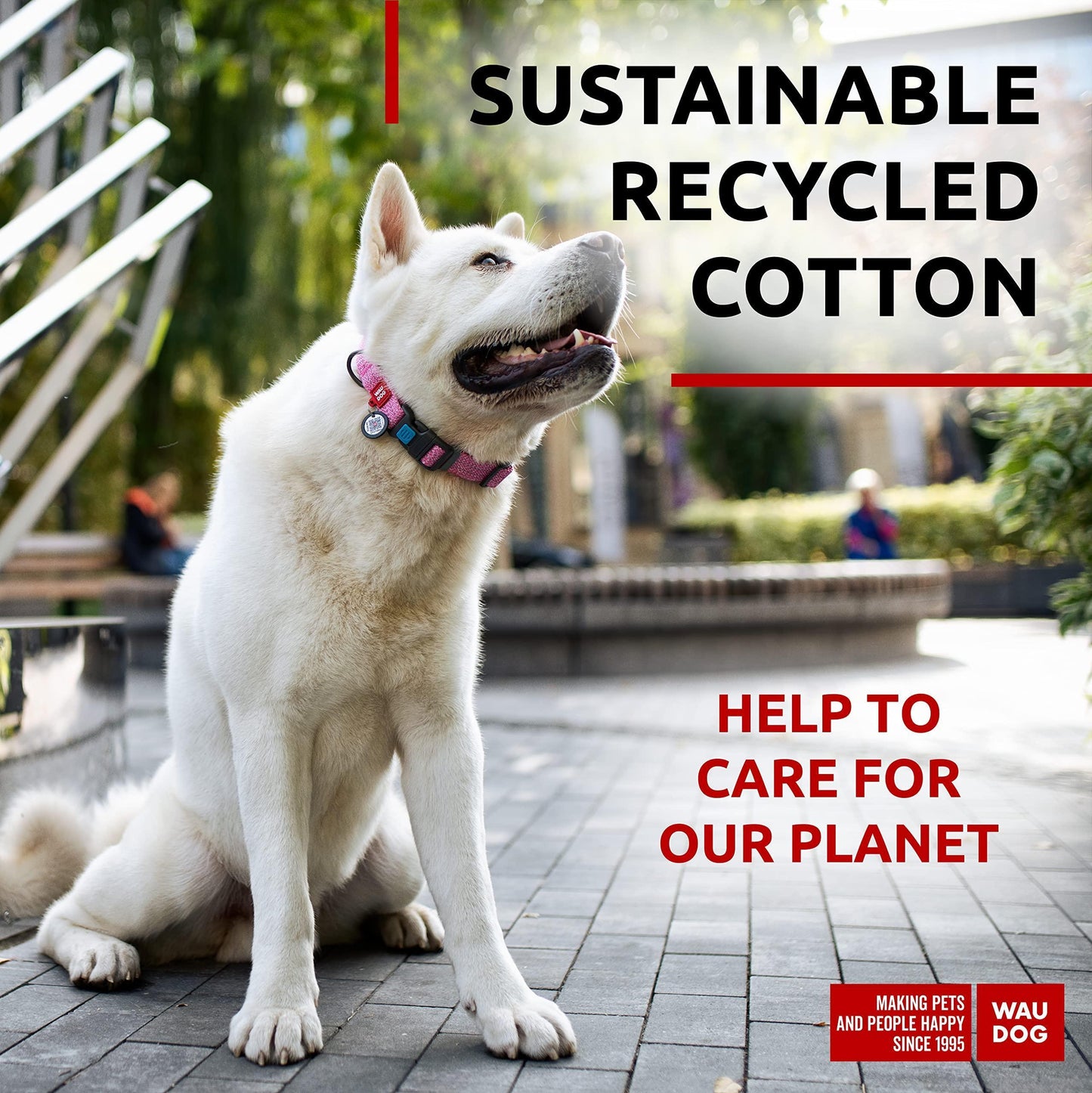 Jack & Susy™ Eco-Friendly Reflective Cotton Dog Collar – Recycled, Soft & Durable with Smart QR ID Tag