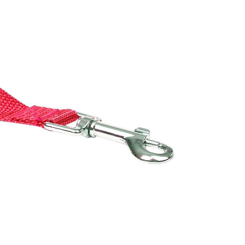 Premium Long Training Dog Leash β Durable Nylon Obedience & Recall Lead (6β100 FT)