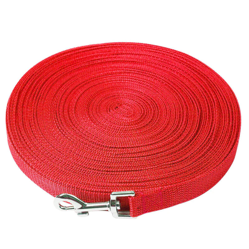 Premium Long Training Dog Leash β Durable Nylon Obedience & Recall Lead (6β100 FT)