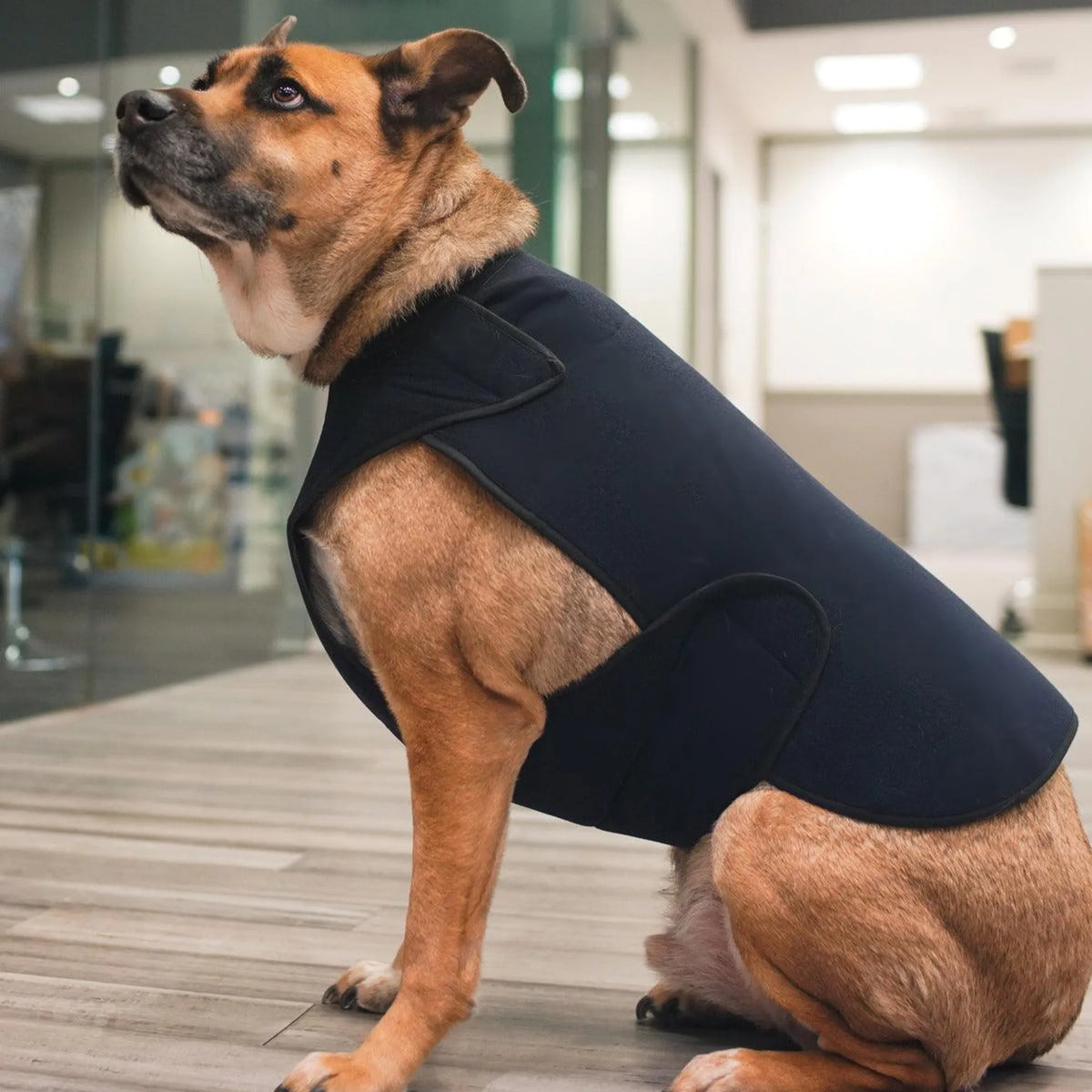 Anxiety & Recovery Body Wrap — Gentle Constant Pressure