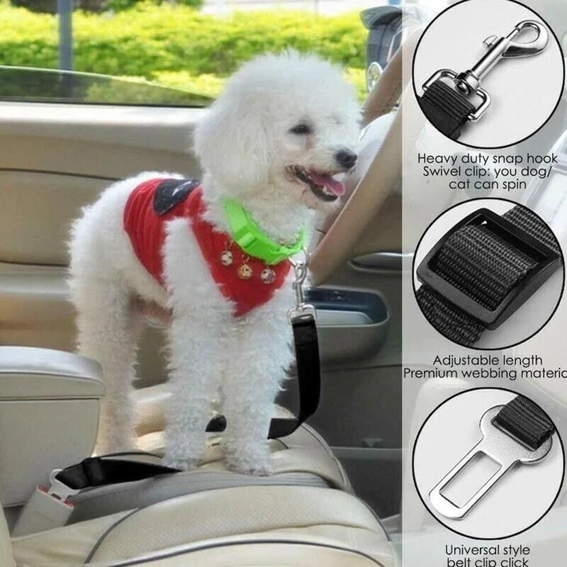 2-Pack Adjustable Pet Car Seat Belts β Heavy-Duty Nylon Safety Harness for Dogs & Cats | Universal Fit, Tangle-Free, Secure Travel Restraint