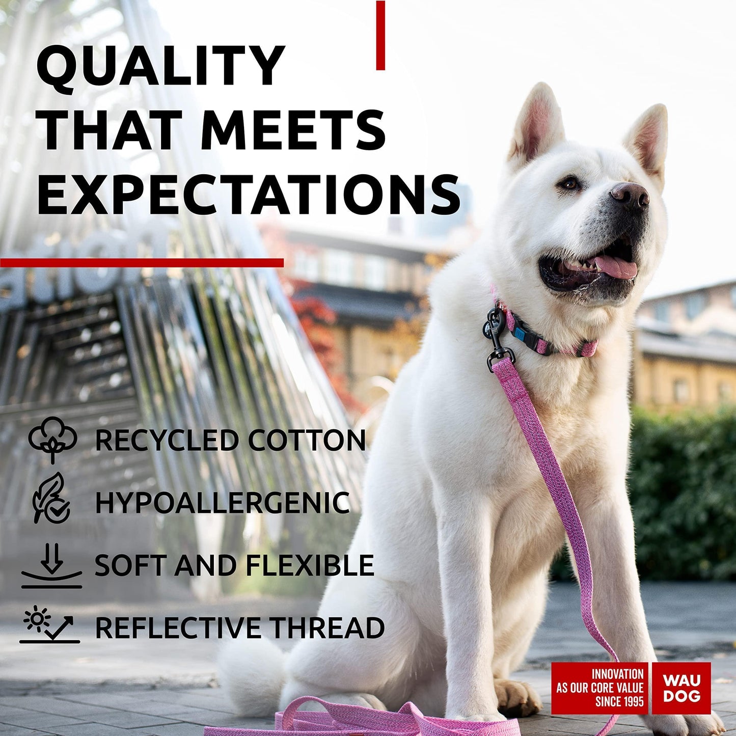 Jack & Susy™ Eco-Friendly Reflective Cotton Dog Collar – Recycled, Soft & Durable with Smart QR ID Tag