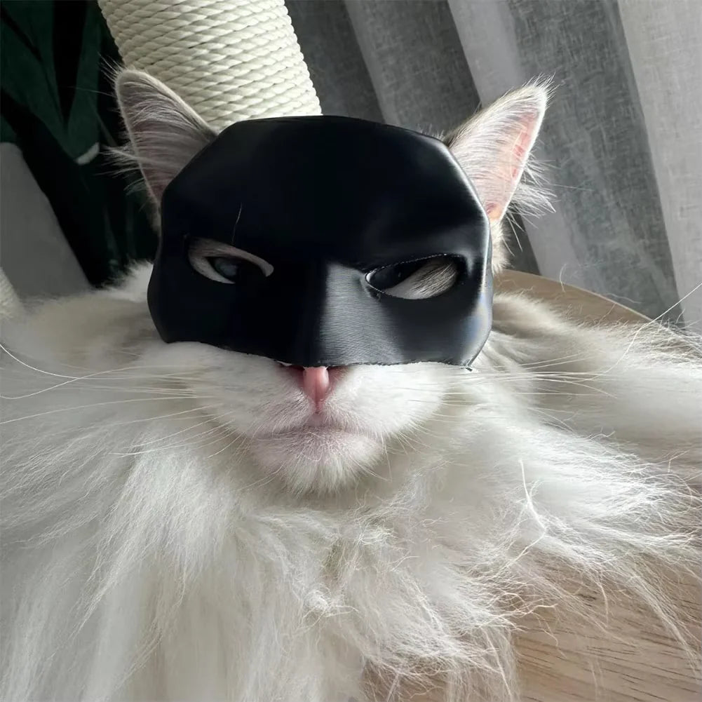 Bat Cat Mask β Funny Superhero Costume for Cats