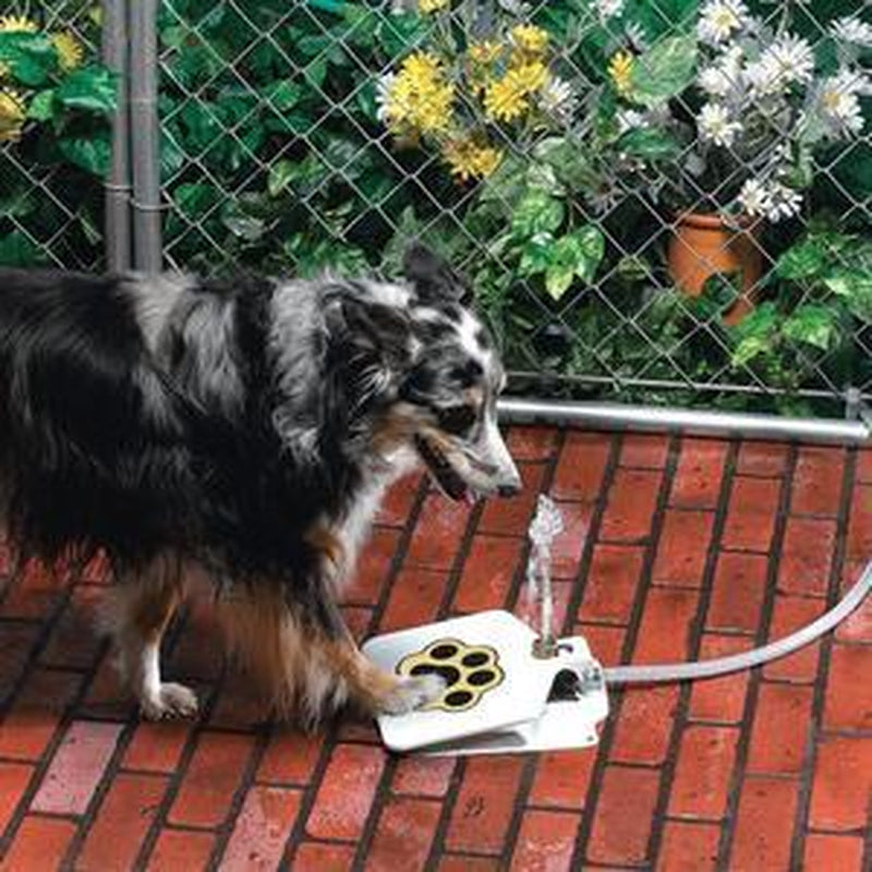 Pet Water Fountain for Dogs – Outdoor Automatic Drinking Station
