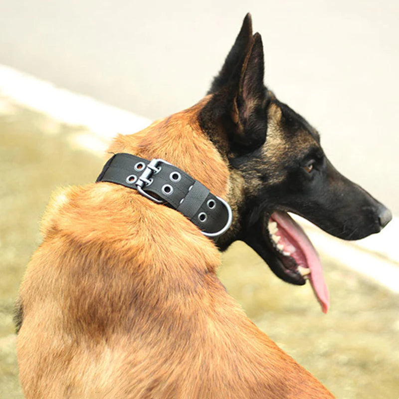 Jack & Susy™ Tactical Heavy-Duty Dog Collar – 2" Wide Military-Grade Nylon with Metal Buckle (K9 Training Collar)