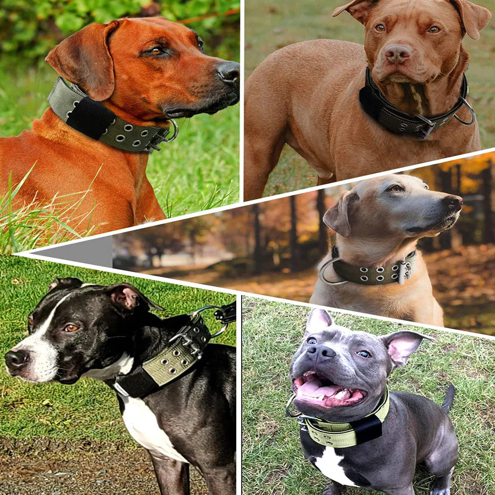 Jack & Susy™ Tactical Heavy-Duty Dog Collar – 2" Wide Military-Grade Nylon with Metal Buckle (K9 Training Collar)