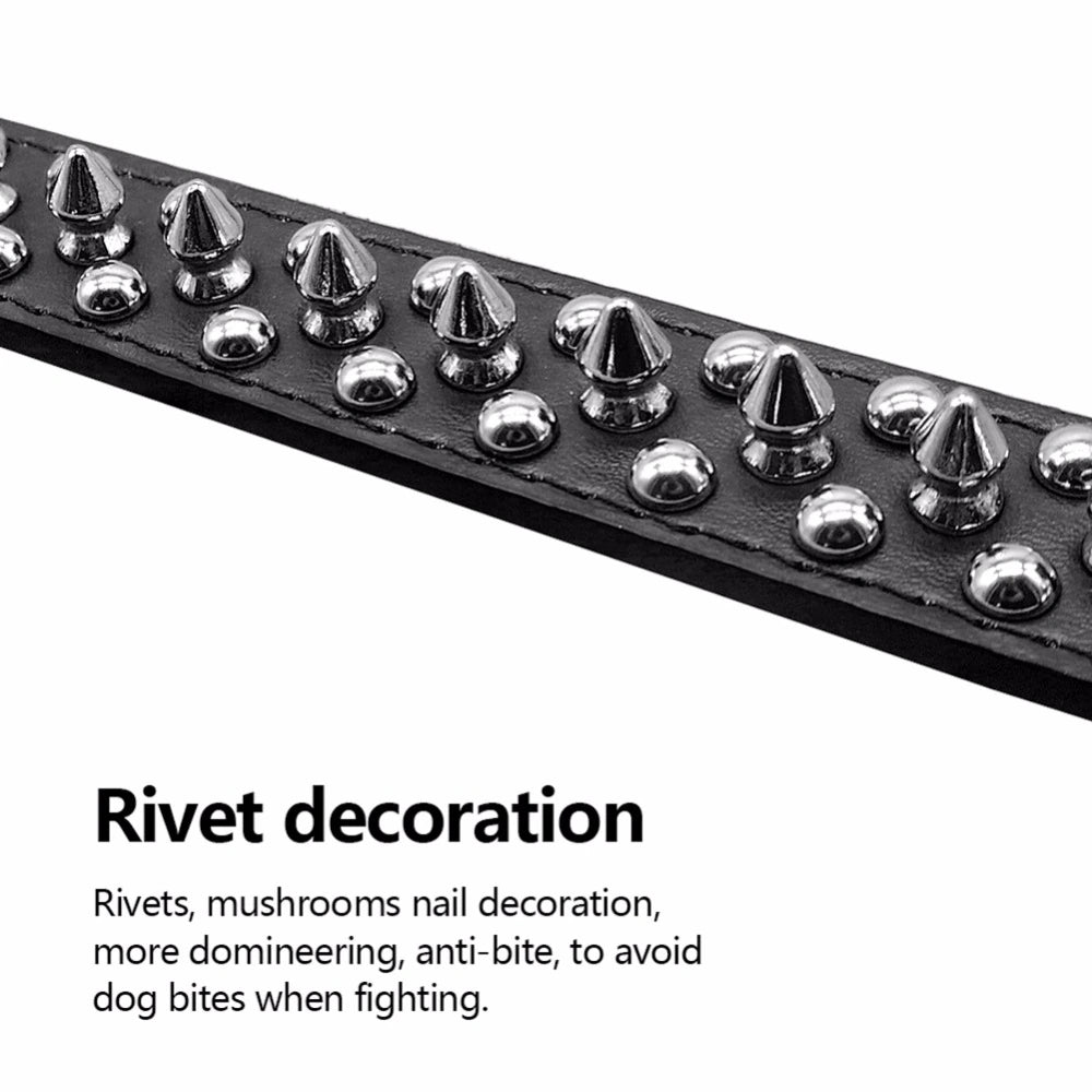 Jack & Susy™ Spiked Studded Leather Dog Collar – Adjustable PU Collar with Rivets for Small to Large Dogs