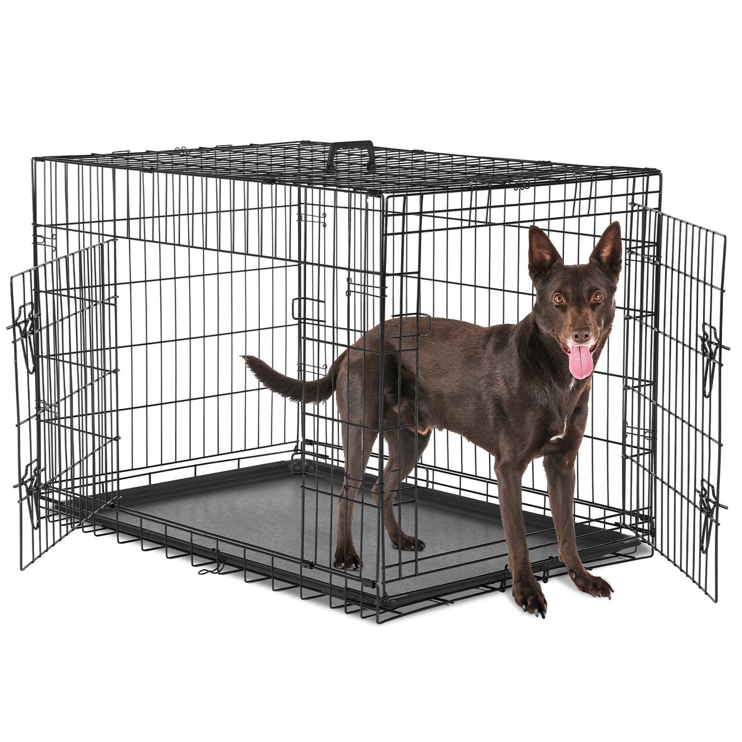 Foldable Double-Door Dog Crate β Heavy-Duty Metal Kennel with Divider & Removable Tray (Multiple Sizes)