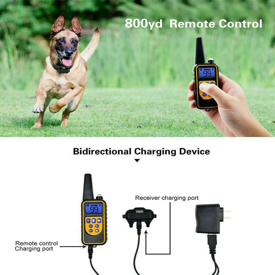Jack & Susy™ Smart Dog Training Collar Set – 2600 FT Remote Control, Dual Waterproof Collars & Rechargeable LCD System