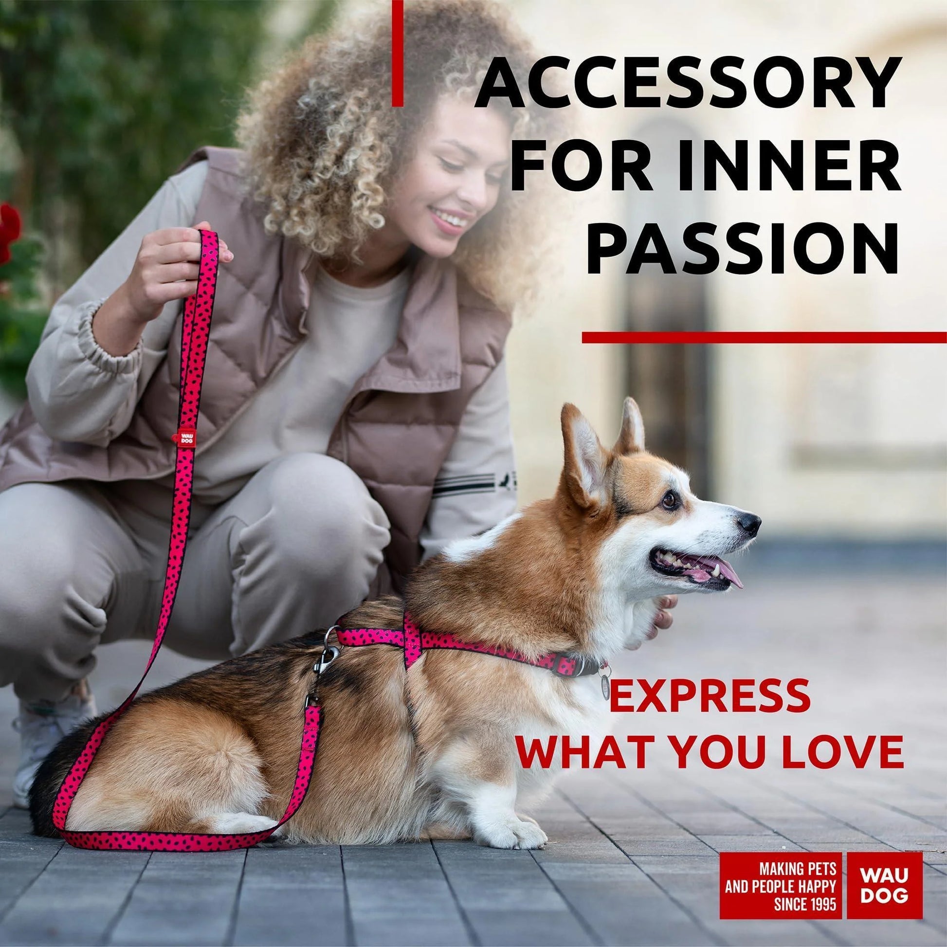 Nylon Dog Leash – Strong & Heavy-Duty