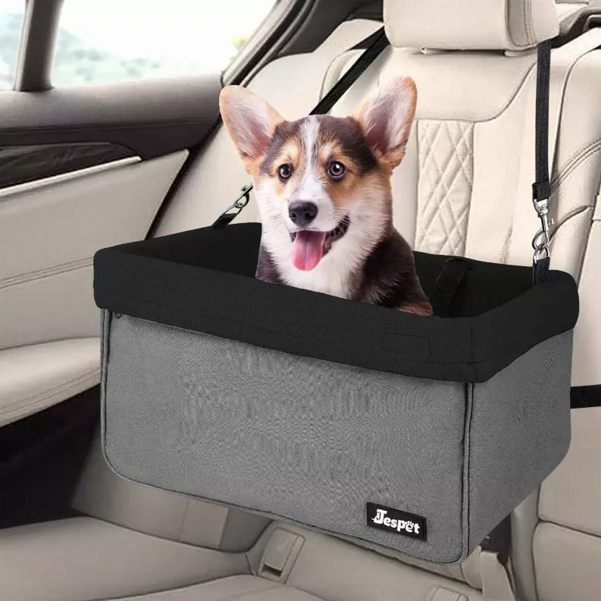 Dog Booster Car Seat — Up to 24 lb, Two-Strap Fit, Built-In Tether