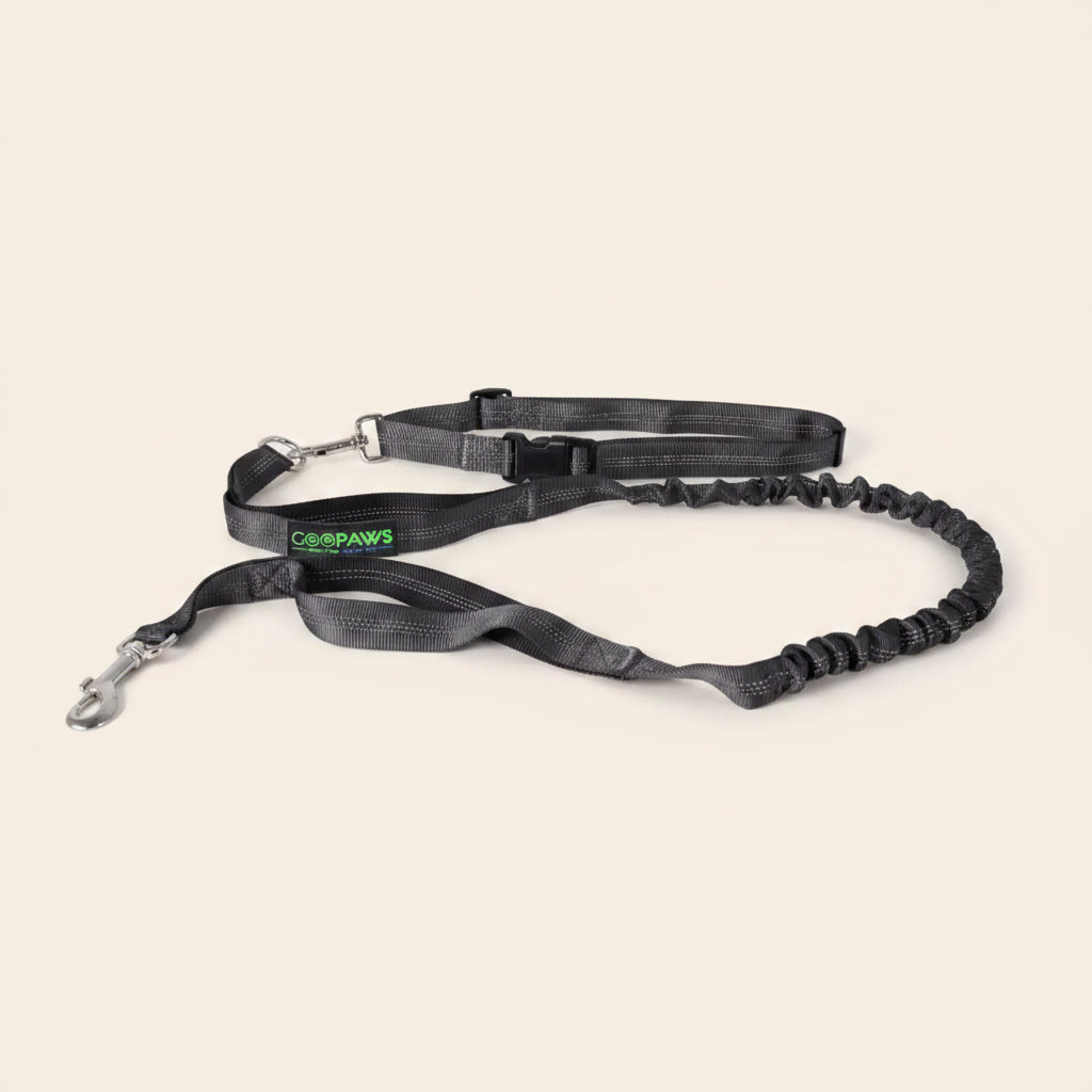 Cabin-Ready Kit — Under-Seat Carrier, Harness & Hands-Free Lead
