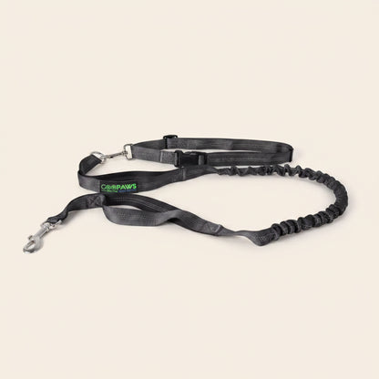 Cabin-Ready Kit — Under-Seat Carrier, Harness & Hands-Free Lead