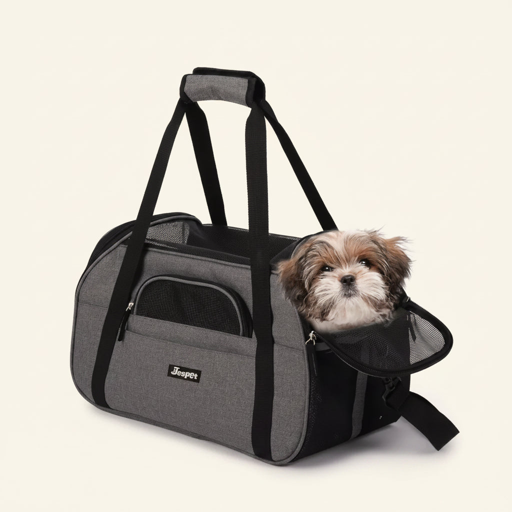 Cabin-Ready Kit — Under-Seat Carrier, Harness & Hands-Free Lead