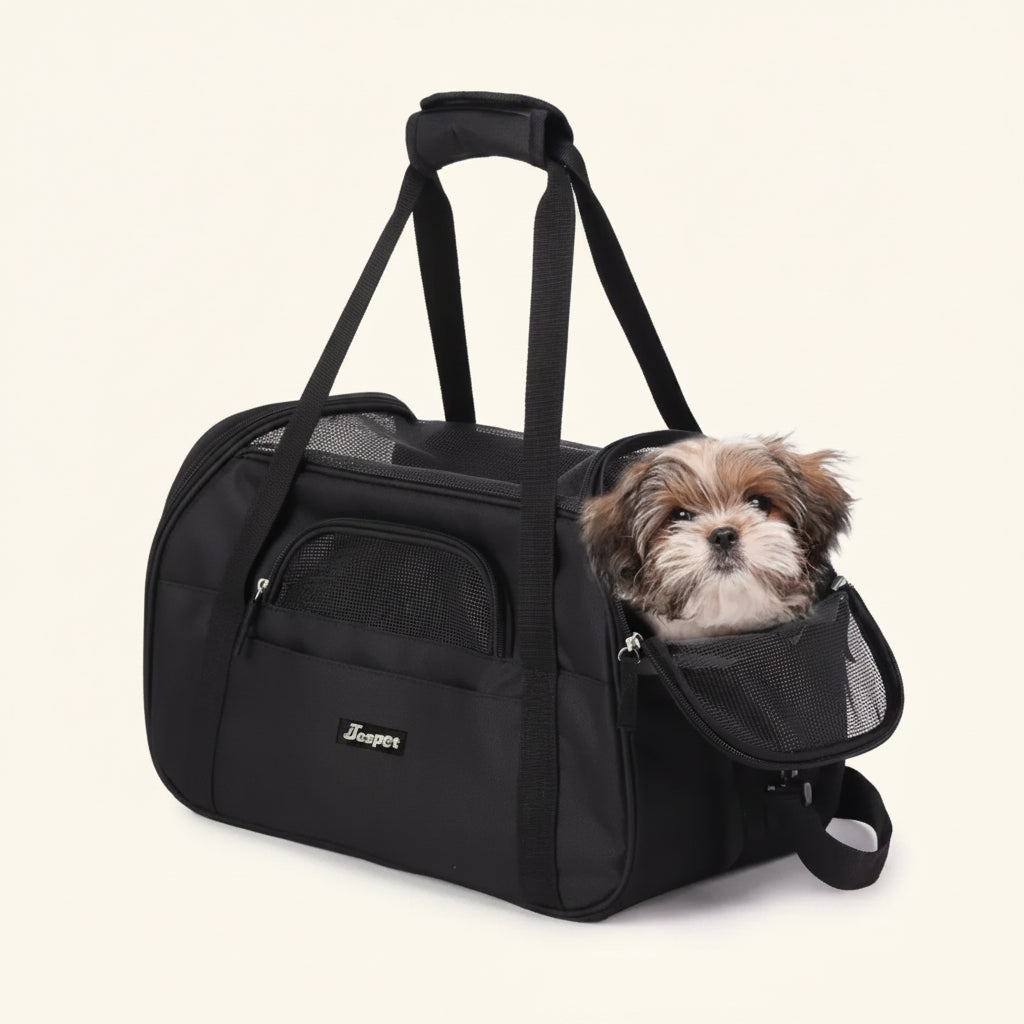 Cabin-Ready Kit — Under-Seat Carrier, Harness & Hands-Free Lead