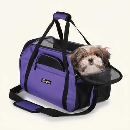 Cabin-Ready Kit — Under-Seat Carrier, Harness & Hands-Free Lead