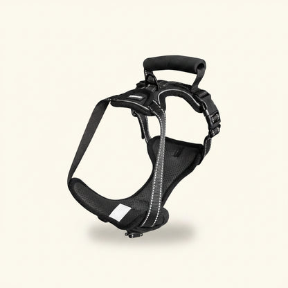 Cabin-Ready Kit — Under-Seat Carrier, Harness & Hands-Free Lead