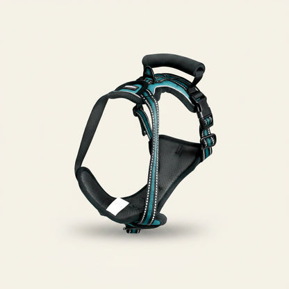 Cabin-Ready Kit — Under-Seat Carrier, Harness & Hands-Free Lead
