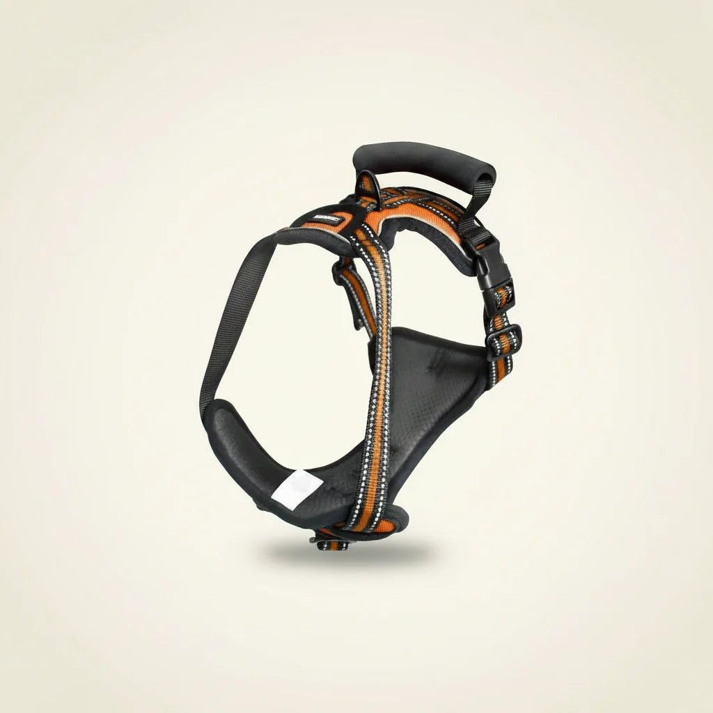 Padded reflective dog harness in orange