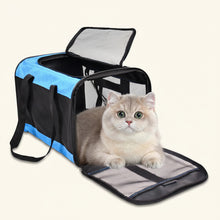 Cabin Carrier — 17 × 11 × 11 in, Wipe-Clean Nylon