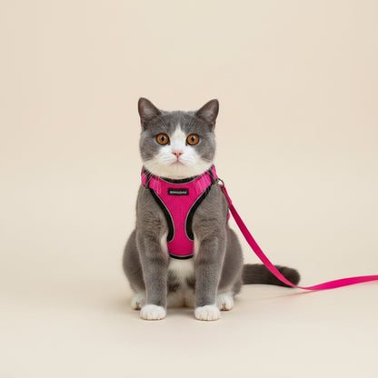 Mr. Peanut's PurrTrek Cat Harness & Lead — Two Sizes, Reflective