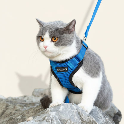 Mr. Peanut's PurrTrek Cat Harness & Lead — Two Sizes, Reflective