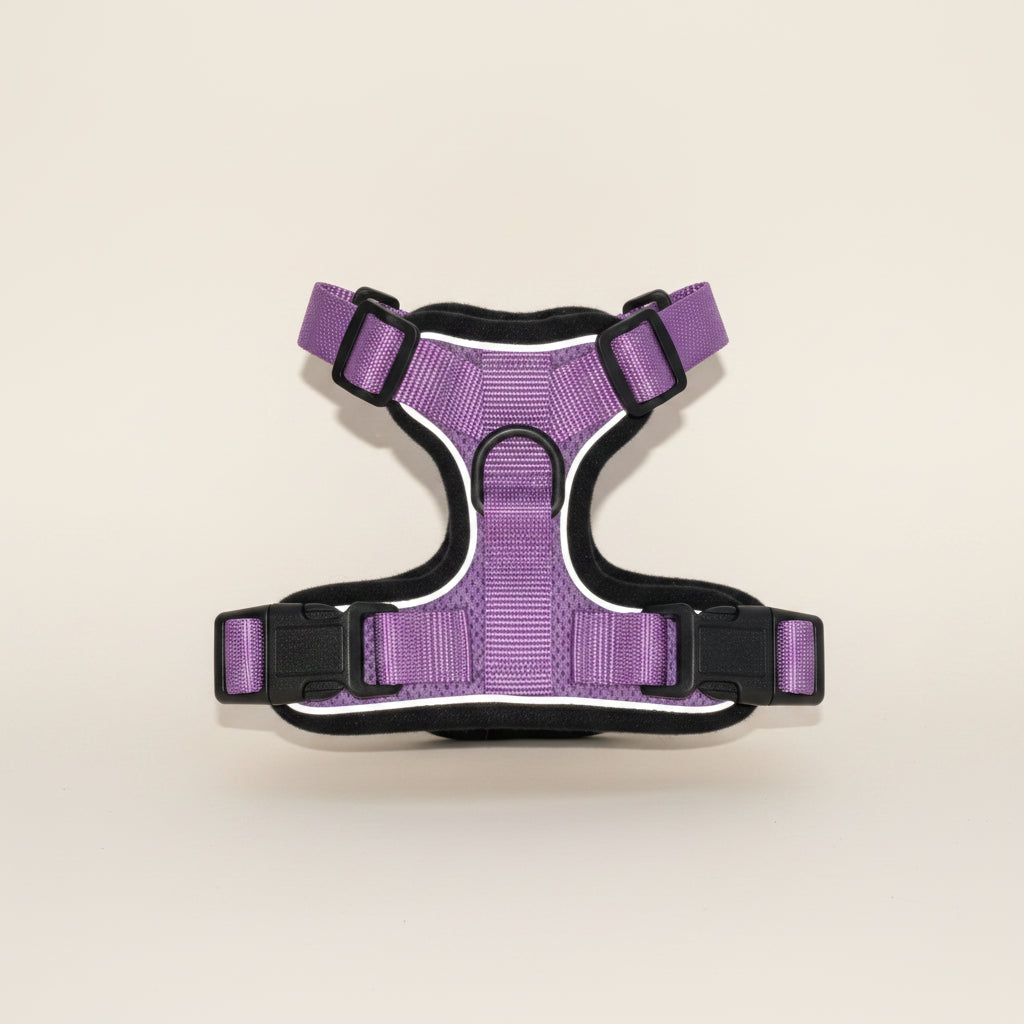 Mr. Peanut's PurrTrek Cat Harness & Lead — Two Sizes, Reflective