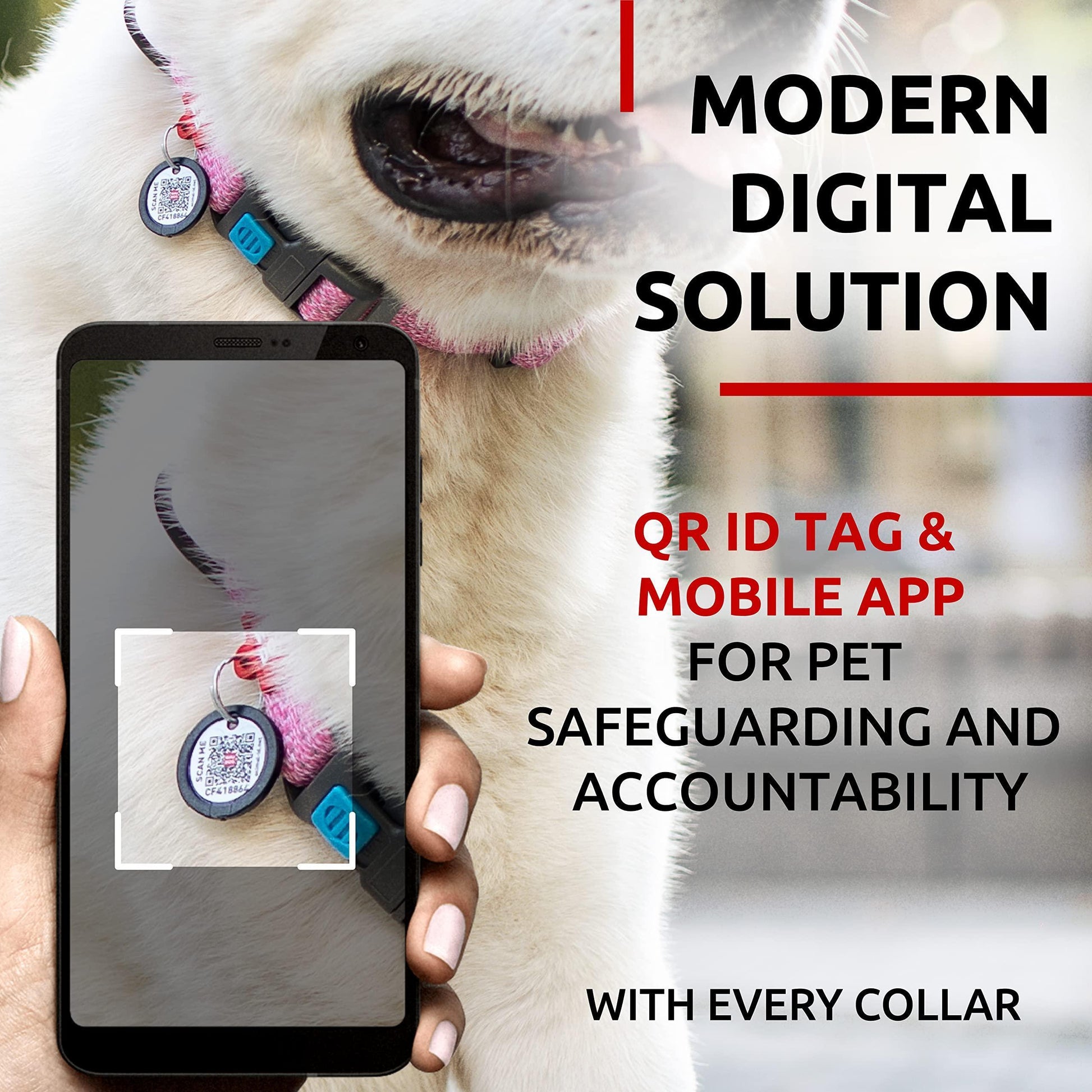 Jack & Susy™ Eco-Friendly Reflective Cotton Dog Collar – Recycled, Soft & Durable with Smart QR ID Tag