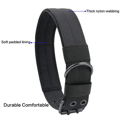Jack & Susy™ Tactical Heavy-Duty Dog Collar – 2" Wide Military-Grade Nylon with Metal Buckle (K9 Training Collar)