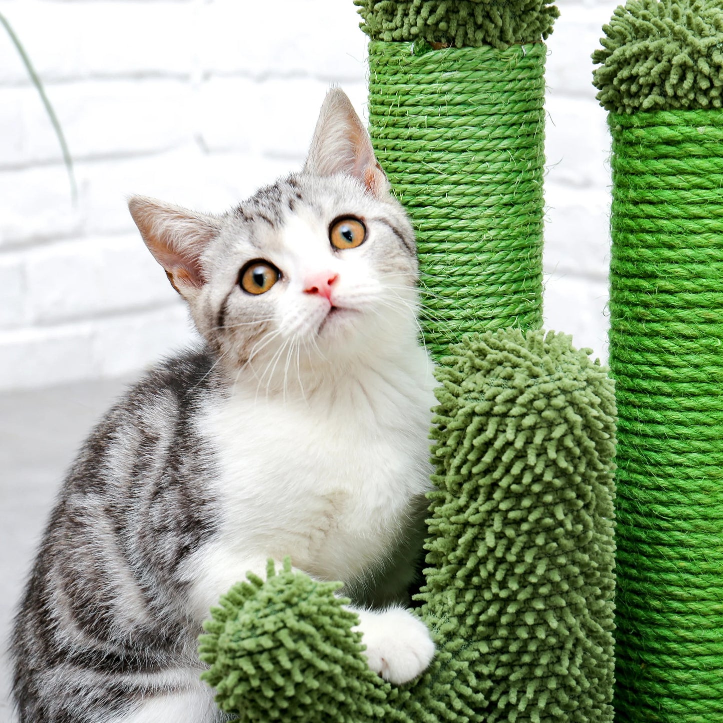 Cactus Cat Scratcher – Sisal Vertical Scratch Post