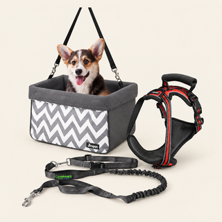 Road-Trip Kit — Booster Seat, Harness & Waist Lead