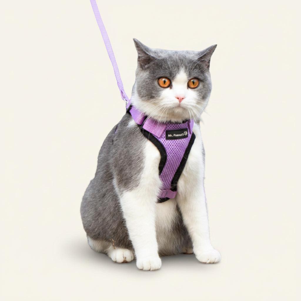 Mr. Peanut's PurrTrek Cat Harness & Lead — Two Sizes, Reflective