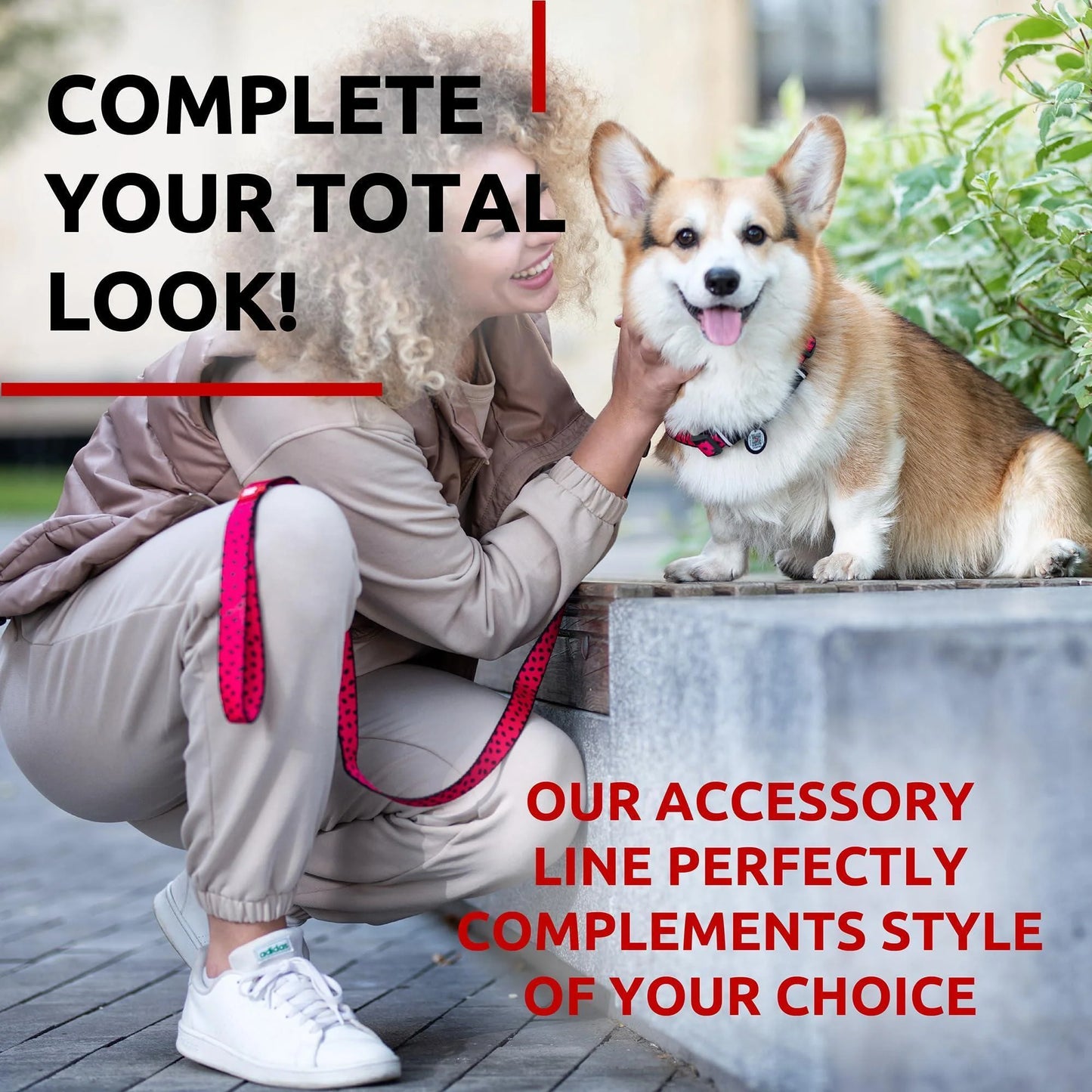 Nylon Dog Leash – Strong & Heavy-Duty