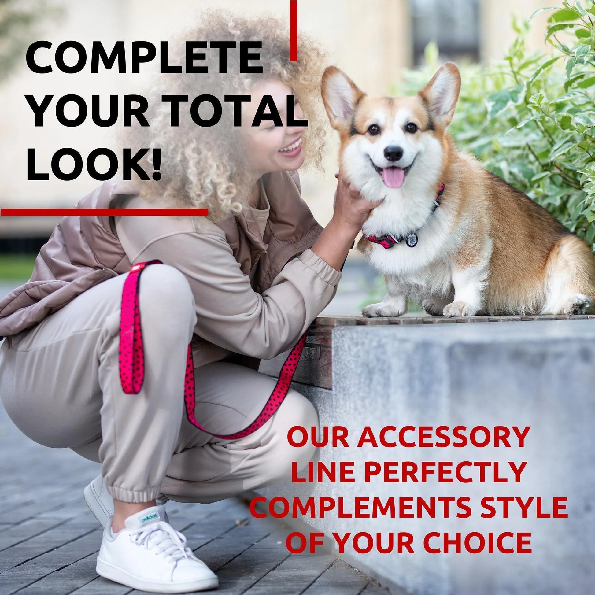 Nylon Dog Leash – Strong & Heavy-Duty