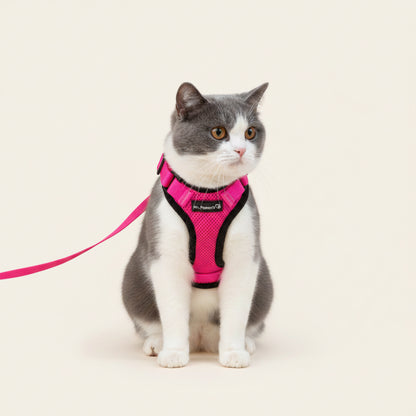 Mr. Peanut's PurrTrek Cat Harness & Lead — Two Sizes, Reflective