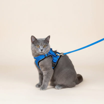Mr. Peanut's PurrTrek Cat Harness & Lead — Two Sizes, Reflective
