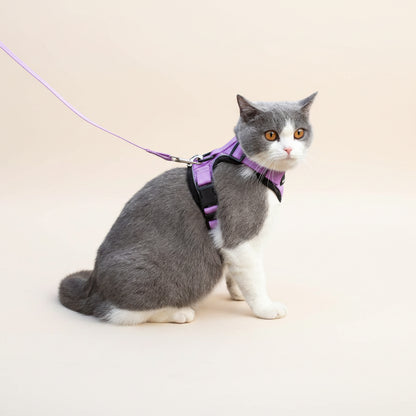 Mr. Peanut's PurrTrek Cat Harness & Lead — Two Sizes, Reflective