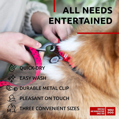 Nylon Dog Leash – Strong & Heavy-Duty