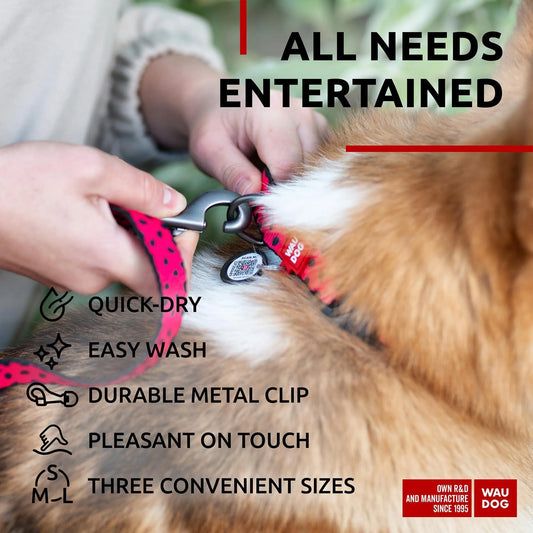 Nylon Dog Leash – Strong & Heavy-Duty