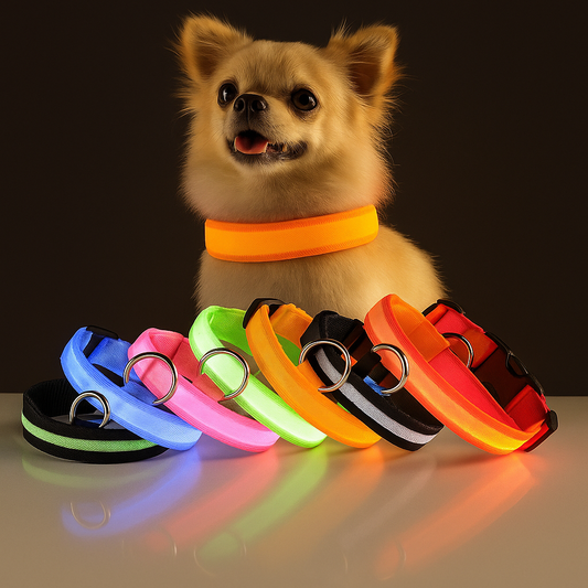 Light-Up LED Dog Collar – Adjustable, Waterproof & Safe for Night Walks