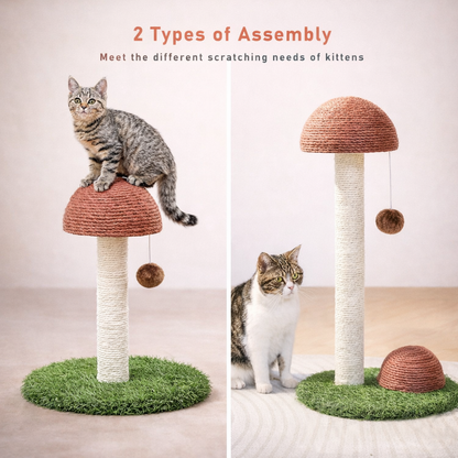 Mushroom Cat Scratching Post – Dual Sisal Design